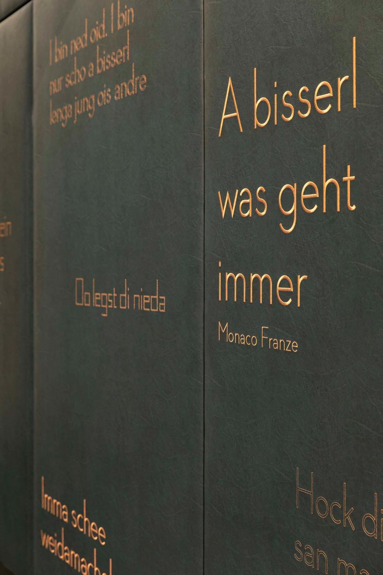 أنداز ميونخ شفابينجر تور - إيه كونسيبت باي حياة ميونيخ المظهر الخارجي الصورة Cover of the book
